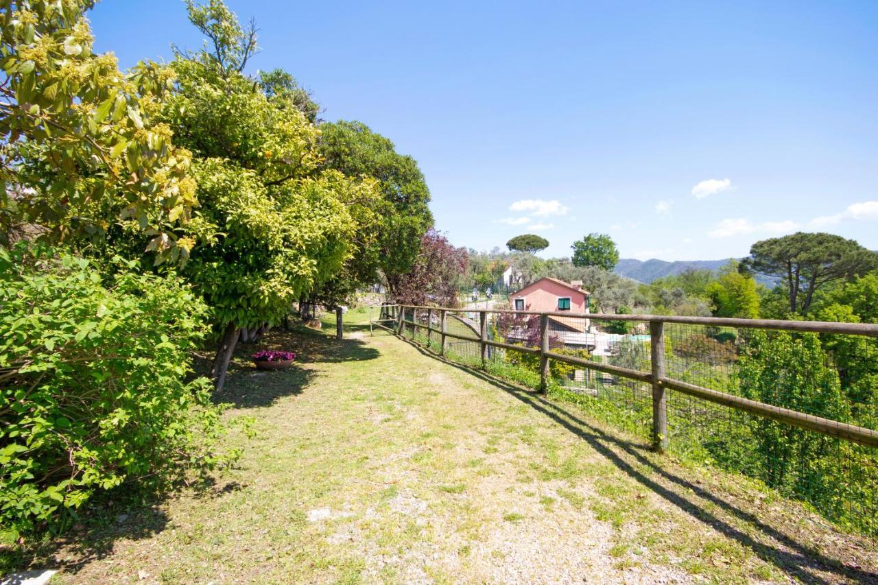 Ferienwohnung Monolocale Fattorialmare Viola Camogli Exterior foto